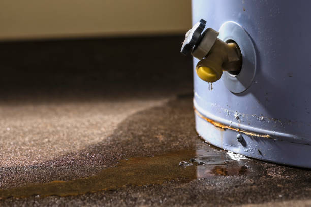 Best Water damage restoration near me  in Palmer Lake, CO