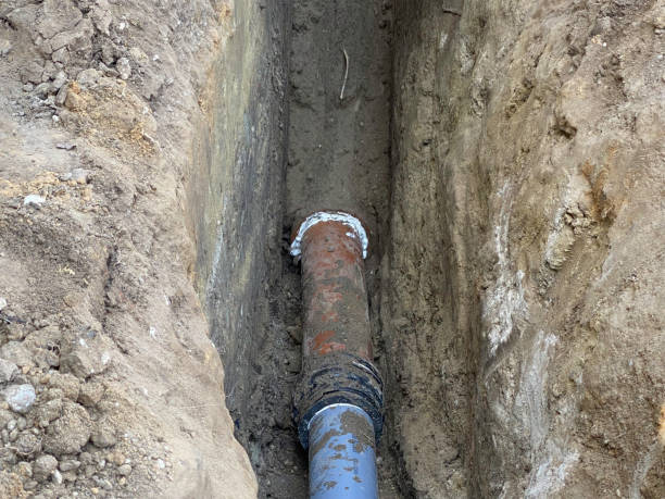 Best Flood damage cleanup  in Palmer Lake, CO