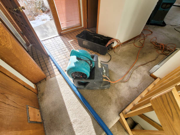 Best Water damage restoration experts  in Palmer Lake, CO