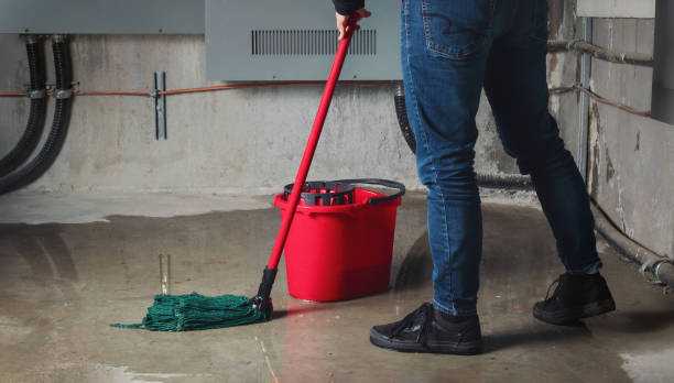 Best Water damage restoration process  in Palmer Lake, CO
