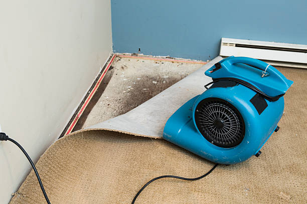 Trusted CO Water damage restoration Experts